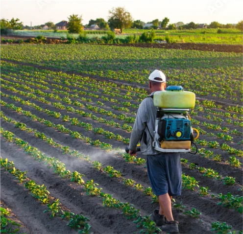 The Impact of Industrially Produced Ingredients on Traditional Ayurvedic Remedies